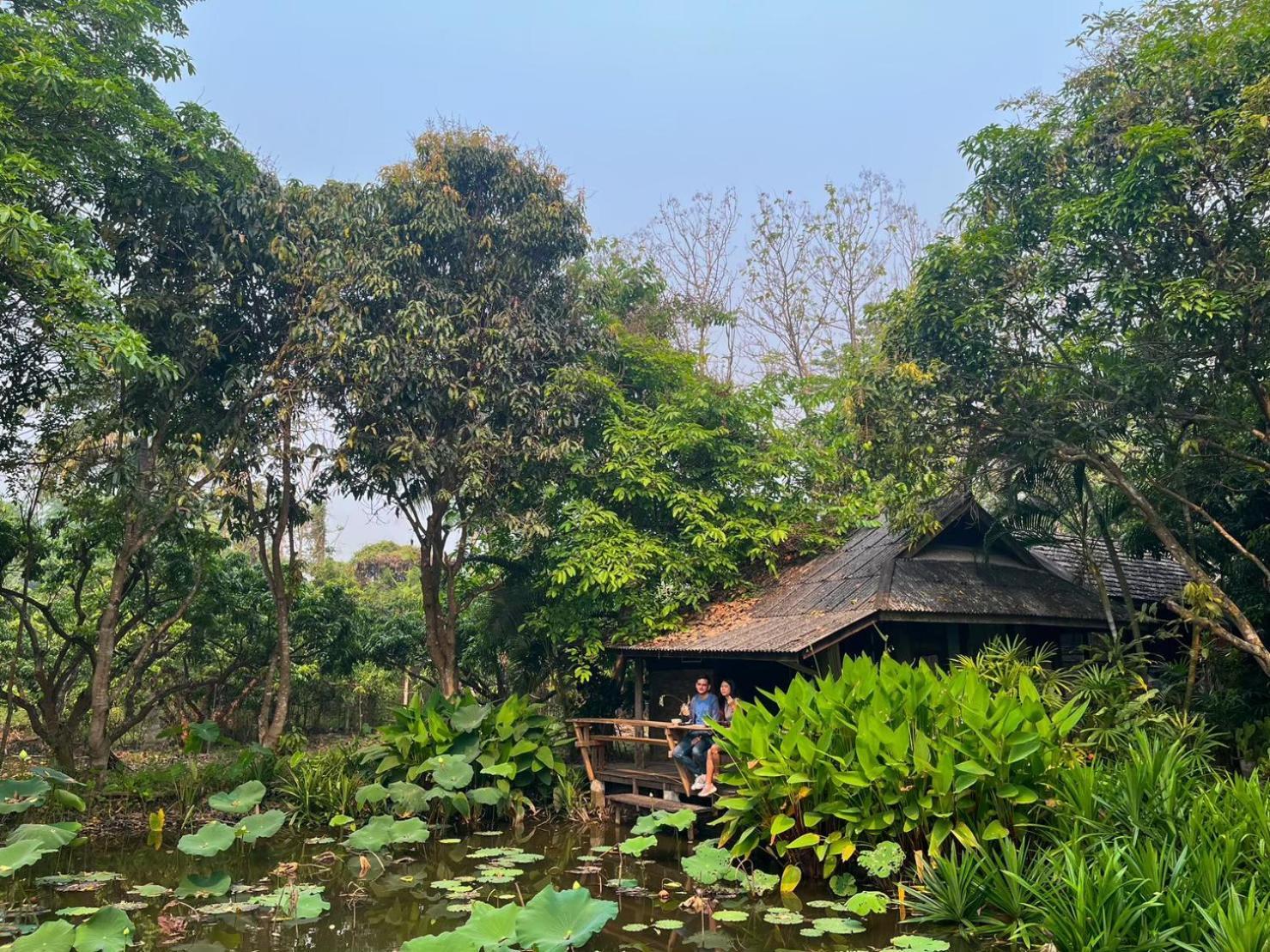 Tongluang Inthanon Homestay โต้งหลวงอินทนนท์โฮมสเตย์ Chom Thong Exterior photo